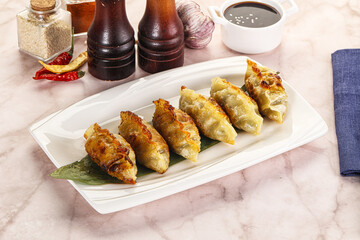 Fried Japanese stuffed dumplings - Gyoza
