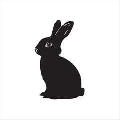 white rabbit isolated on white background