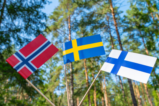Ecological concept. Group of scandinavian flags consist of Finland, Sweden and Denmark on the forest and pine trees background