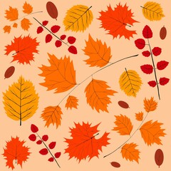 Obraz premium pattern with autumn leaves colorful 