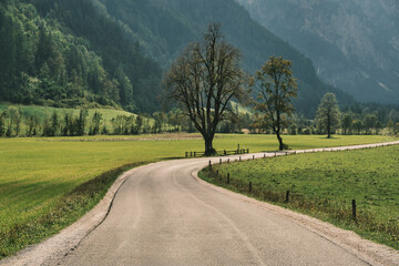 A scenic winding road through a lush green valley, framed by majestic mountains and solitary trees. This idyllic scene evokes a sense of tranquility and adventure. Slovenia