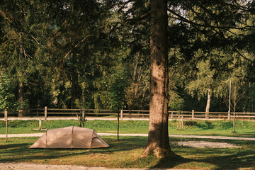 A large, green tent sits pitched in a grassy clearing in the forest. The tent is set up for camping and surrounded by tall trees.