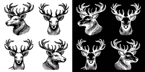 set of reindeers, black and white
