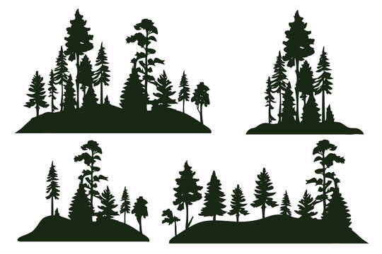 Abstract green silhouette various pines trees collection.Vector illustration