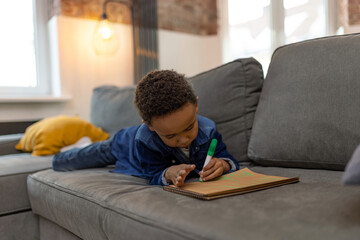 Obraz premium Child boy enjoying activity of drawing while resting on the sofa at home