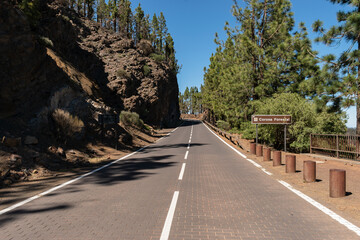 Landscape of the Corona Forestal of Teide, Tenerife, Canary Islands, Spain, volcanic environment and forests of Canary Island pines