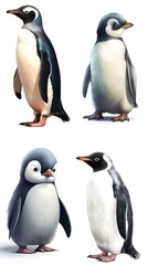 Naklejka premium Set of penguins with different positions on white background 