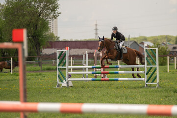 A young girl goes in for horse riding. A horse jumps over a barrier.