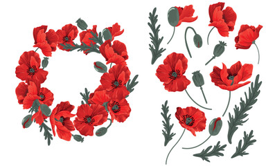 Set of red poppy flowers, leaves and petals. Collected in a beautiful wreath of bright buds for posters, prints for T-shirts, postcards, interior.