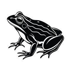 Frog silhouette vector