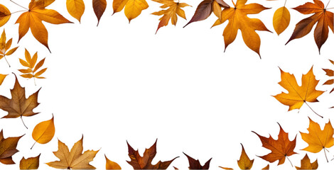 Scattered Autumn Leaves on a White Background