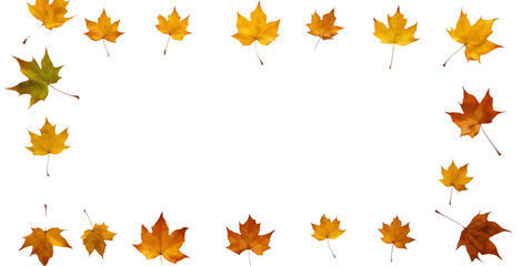 Scattered Autumn Leaves on a White Background