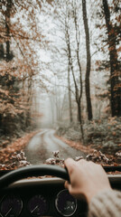 A person driving a car through a forest