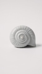 Obraz premium Black-and-white photo showcases clear detail of chambered nautilus shells spiraling pattern against white backdrop Isolated
