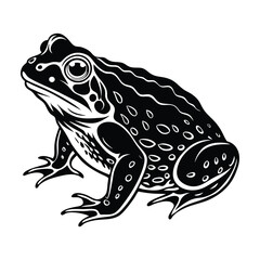 Toad silhouette vector