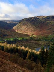 A breathtaking view of a sunlit mountain valley in autumn with lush greenery, reds, oranges, winding streams, and distant peaks under a vast sky, showcasing nature’s serene 