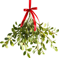 Obraz premium Mistletoe hanging on a red ribbon against a transparency background.