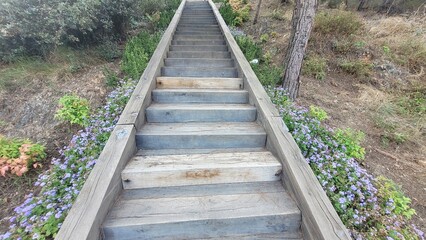Obraz premium Wooden stairs in the forest