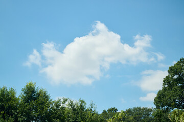 青空に浮かぶ白い雲と緑の木々