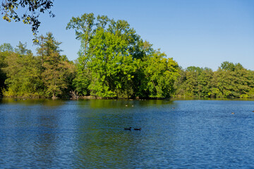 Obraz premium Annateich in Hannover Hermann - Löns - Park