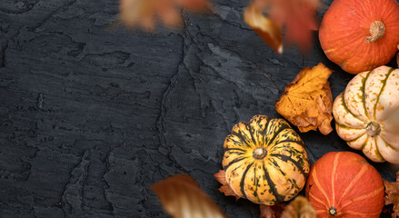 A seasonal thanksgiving fall background with pumpkins, food, and falling leaves. Autumn Halloween season layout.