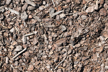 Brown tree bark chips mulch texture. Organic ground cover for moisture retention. Weed control and soil enrichment. Park and garden background of tree bark mulch.