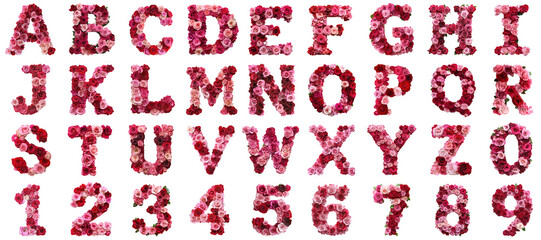 Alphabet flower rose letter transparent sample mockup isolated png with no background.