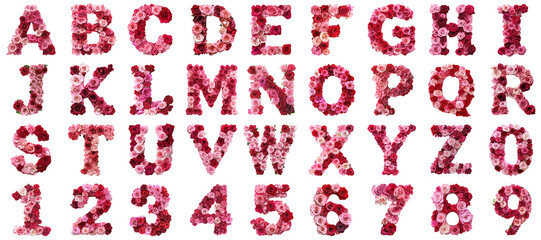 Rose flower alphabet png set collection in 3d transparent no background in character letter concept.