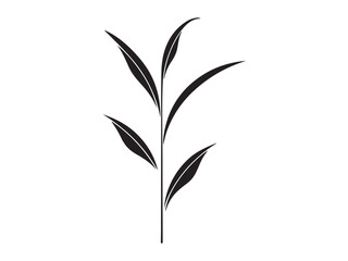 Paddy plants silhouette vector design with white background