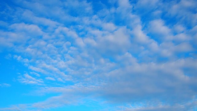 Altocumulus high cumulus heaped cloud genus that belongs mainly to stratocumuliform. Globular masses or rolls in layers or patches. Cumuliform stratocumuliform clouds, altocumulus signifies convection