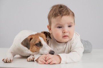 Cute baby boy and Jack Russell terrier dog lying in an embrace on a white background. 