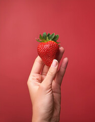 Obraz premium Hand holding fresh strawberry isolated on pastel red background
