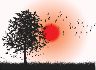 TREE Shadow, black and white.