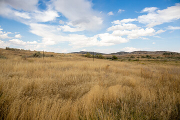 Yellow sage brush desert Wyoming Wild West 