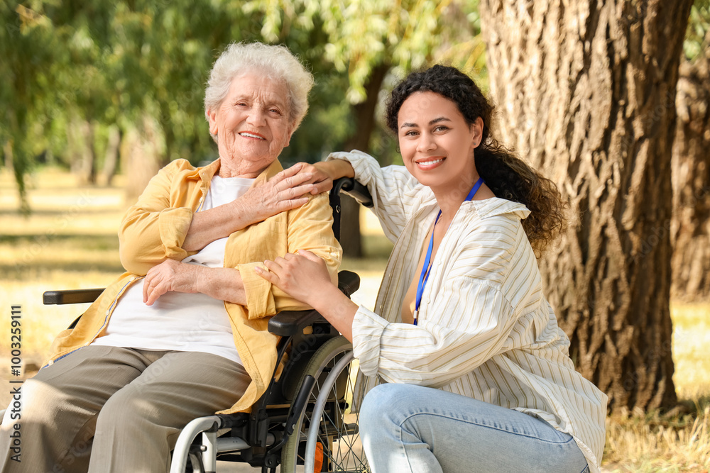 Canvas Prints Young African-American female medical worker with elderly woman on wheelchair outdoors