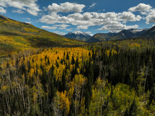 Fototapeta premium Aerial view of beautiful fall foliage with snow topped mountains in Colorado, USA