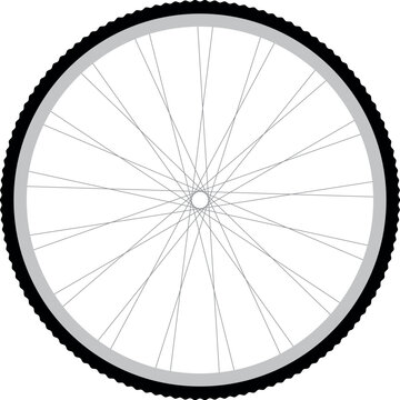 bicycle wheel, bicycle rim, bicycle wheel, wheel vector, bicycle rim vector