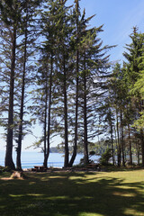 Fototapeta premium Island scenery with green grass and blue ocean