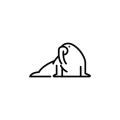 Walrus icon. Simple walrus icon for social media, app, and web design. Vector illustration