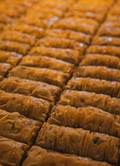 Close-up of Traditional Turkish Walnut Baklava