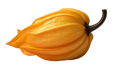 A large orange pepper sits prominently against a stark black background, highlighting its vibrant color and shape.