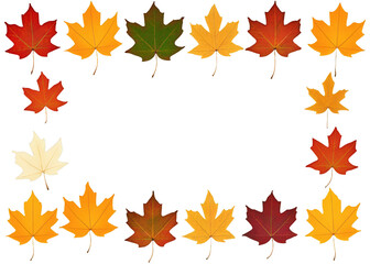 Obraz premium A row of autumn leaves with a white background