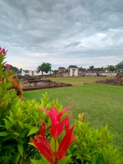 Serenity of Nature: Scenic Landscapes