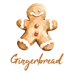 gingerbread in watercolor illustration style, isolated vector on white background