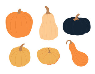 Colorful Pumpkins and Autumn Leaves. Thanksgiving Harvest Fall Pumpkin Holiday Food. Flat vector pumpkin set. Halloween
