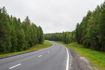 Asphalt road through the pine forest in summer time. Arhangelsk region, Russia