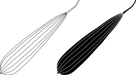 outline silhouette Luffa acutangula icon set