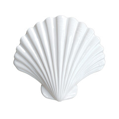 A beautiful white shell on an isolated background, showcasing its elegant texture and natural design. isolated on transparent background.