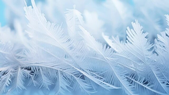 Intricate ice crystals forming a beautiful frosty pattern on a window pane, creating a magical winter wonderland scene reminiscent of the festive season