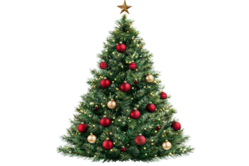 Festive Christmas tree adorned with red and gold ornaments, shimmering lights, isolated on a white background. isolated on transparent background.